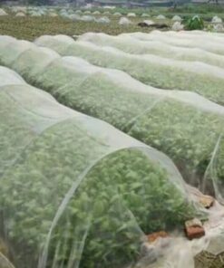 حاجز مكافحة الآفات