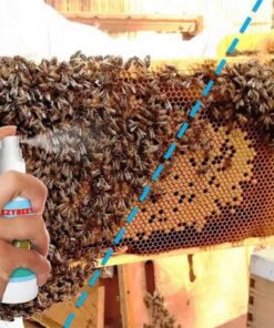 رذاذ إغراء بيزي بيز