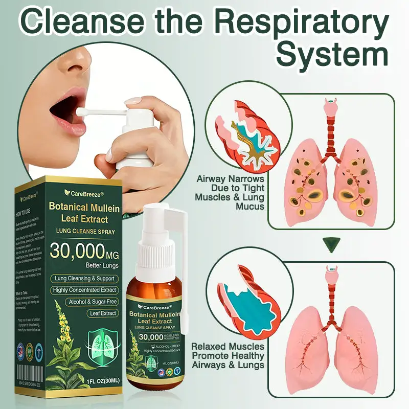CareBreeze® بخاخ تنظيف الرئة بخلاصة أوراق المولين النباتية - Image 5
