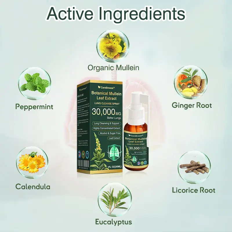 CareBreeze® بخاخ تنظيف الرئة بخلاصة أوراق المولين النباتية - Image 9
